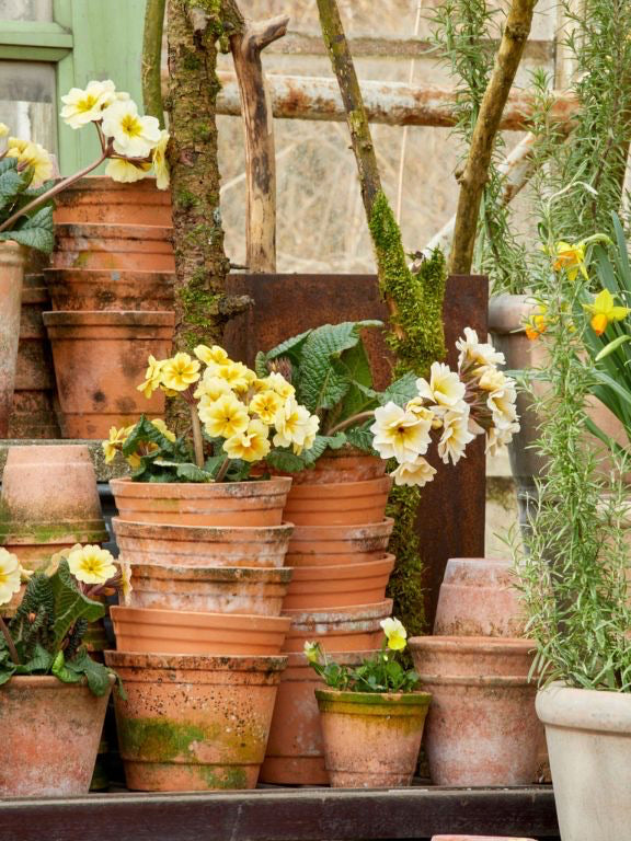 Gilleleje krukke med patina