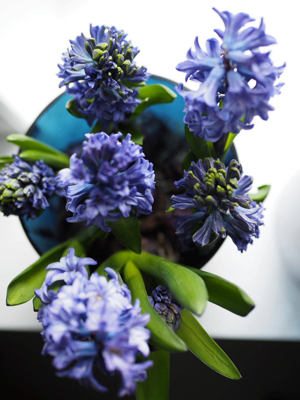 Mundblæst vase, blå