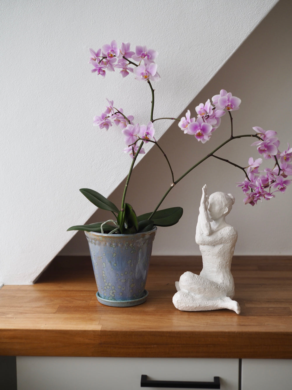 Glaserede Silke potte