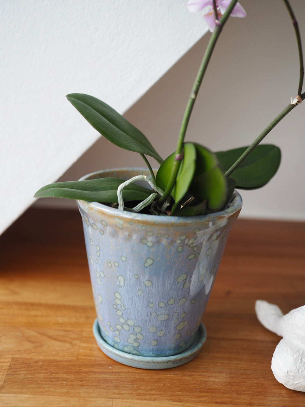 Glaserede Silke potte