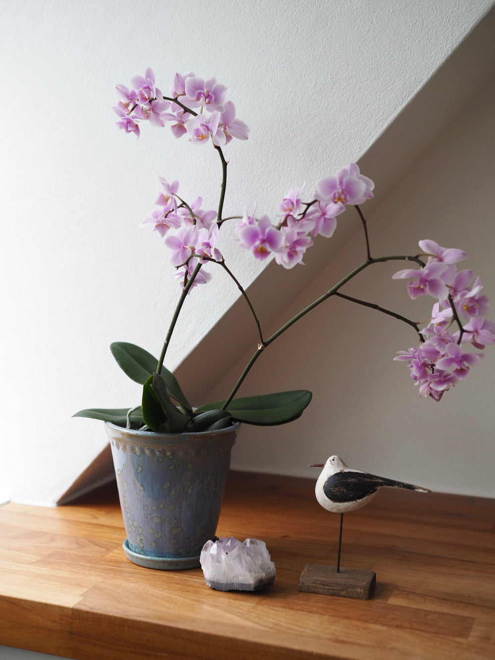 Glaserede Silke potte