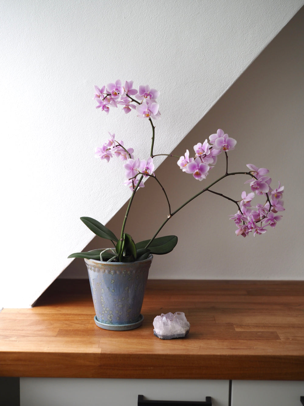 Glaserede Silke potte