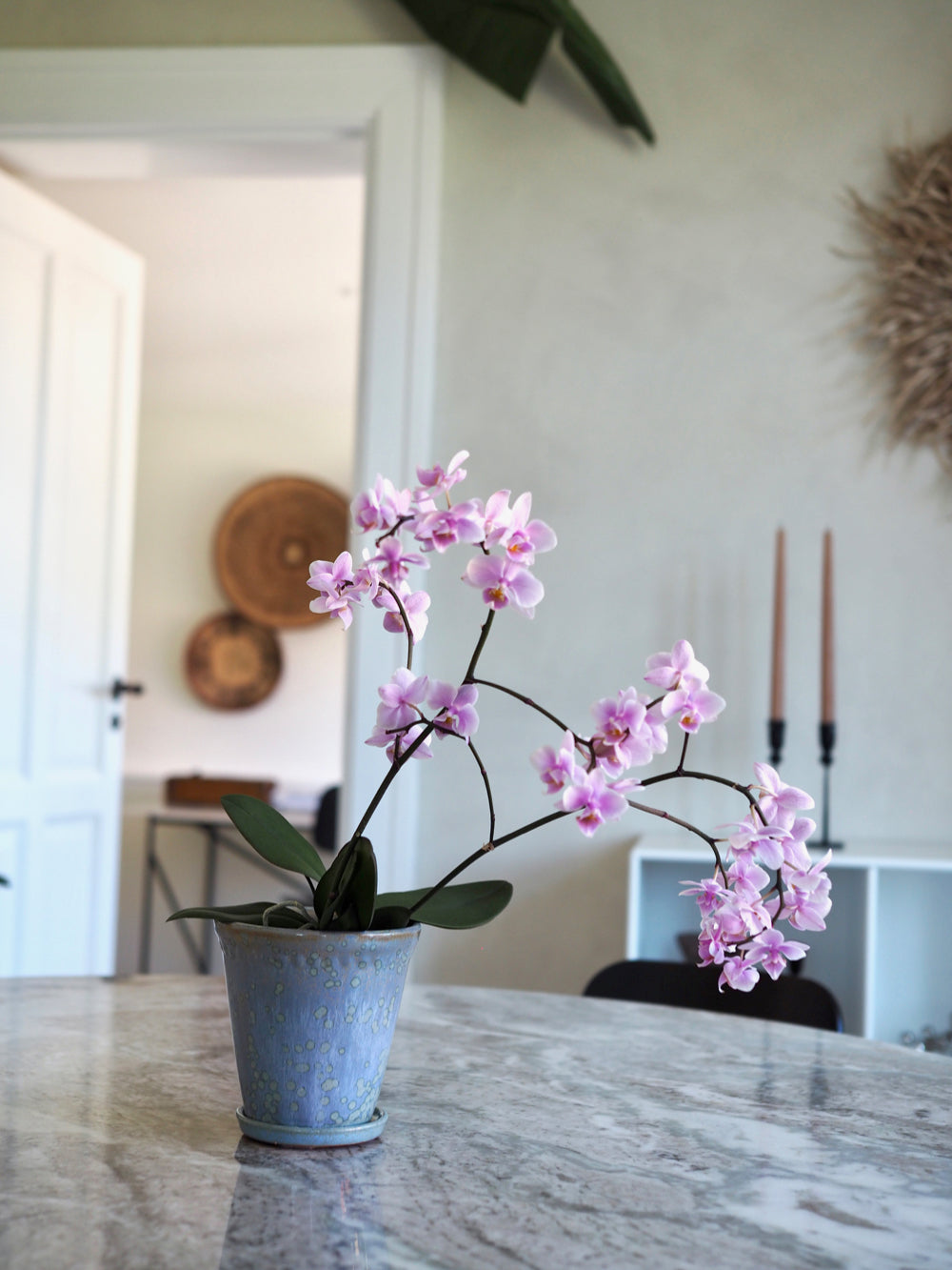 Glaserede Silke potte