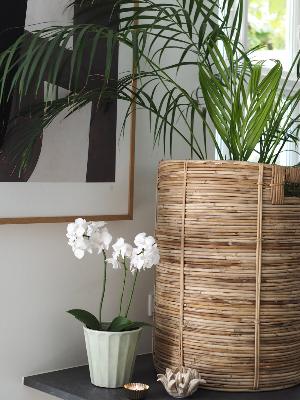 Lysegrøn urtepotte skjuler, Flora