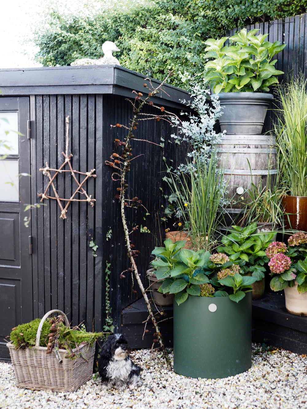 Stjerne af grene, lille