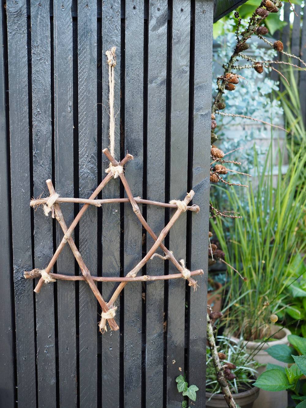 Stjerne af grene, lille