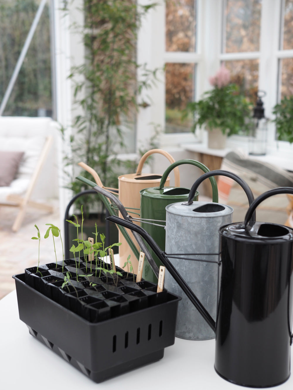 Planteskilte i bambus, 15 stk